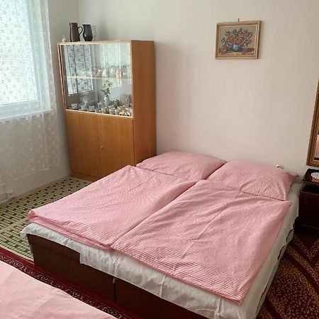 Appartement Cely Byt Želnava Extérieur photo