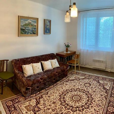 Appartement Cely Byt Želnava Extérieur photo