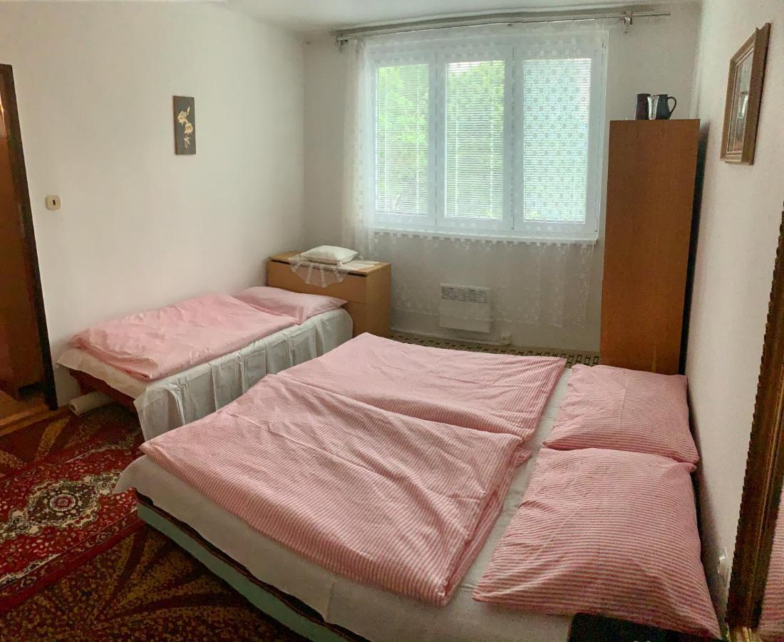 Appartement Cely Byt Želnava Extérieur photo