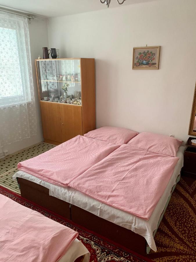 Appartement Cely Byt Želnava Extérieur photo