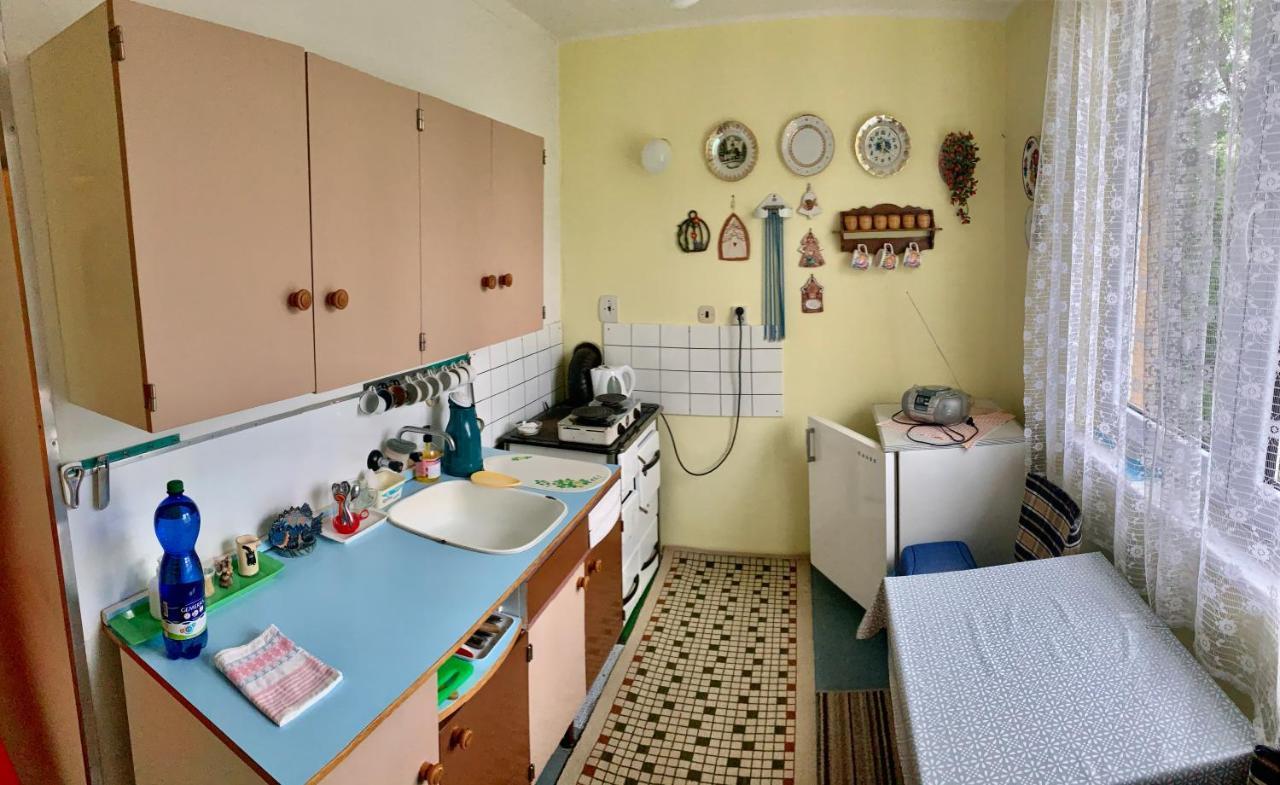 Appartement Cely Byt Želnava Extérieur photo